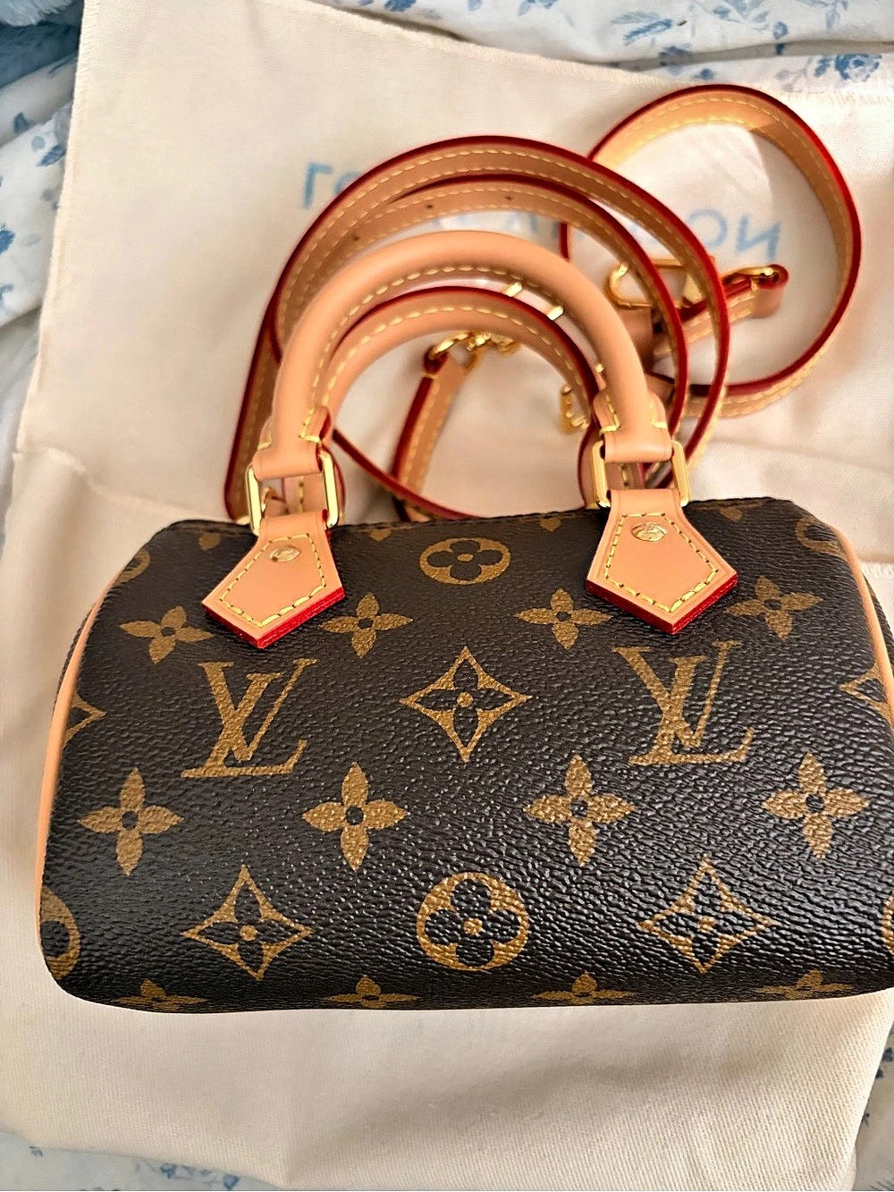 Louis Vuitton Nano Speedy